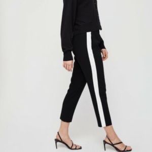 Aritzia Babaton dexter pants with side stripe